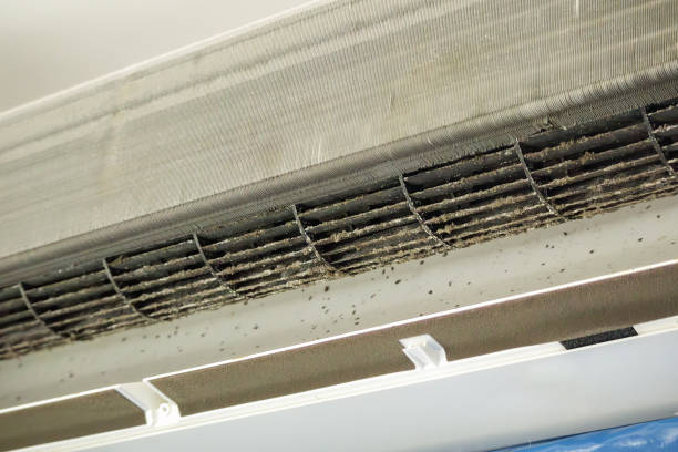 Best Professional Duct Cleaning Services  in Shell Ridge, CA
